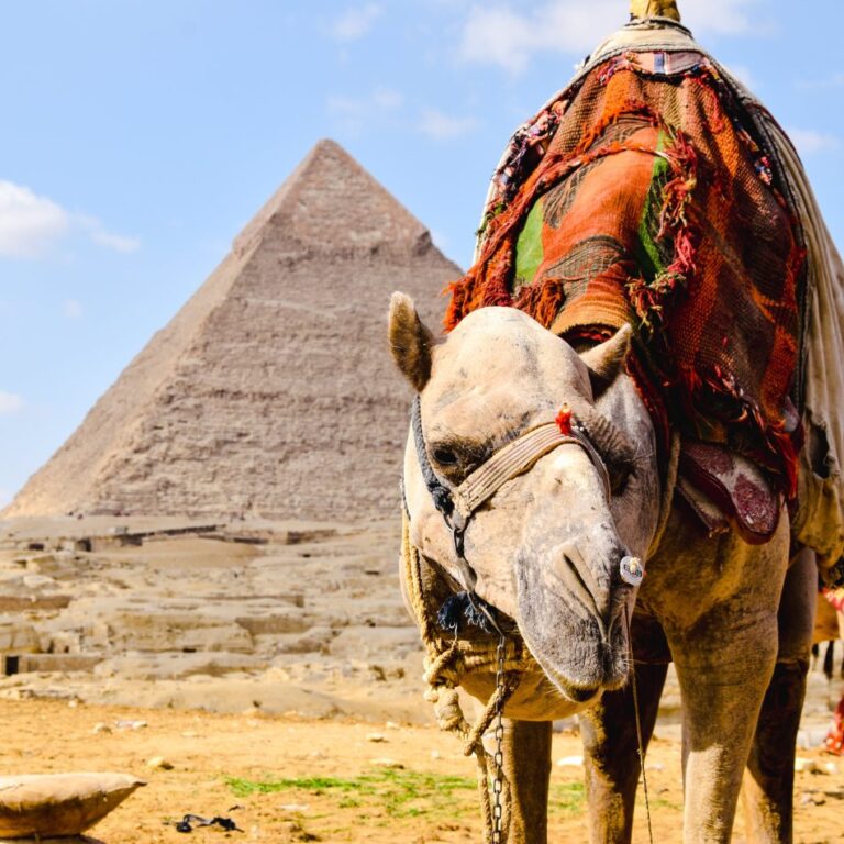 Cairo Travel