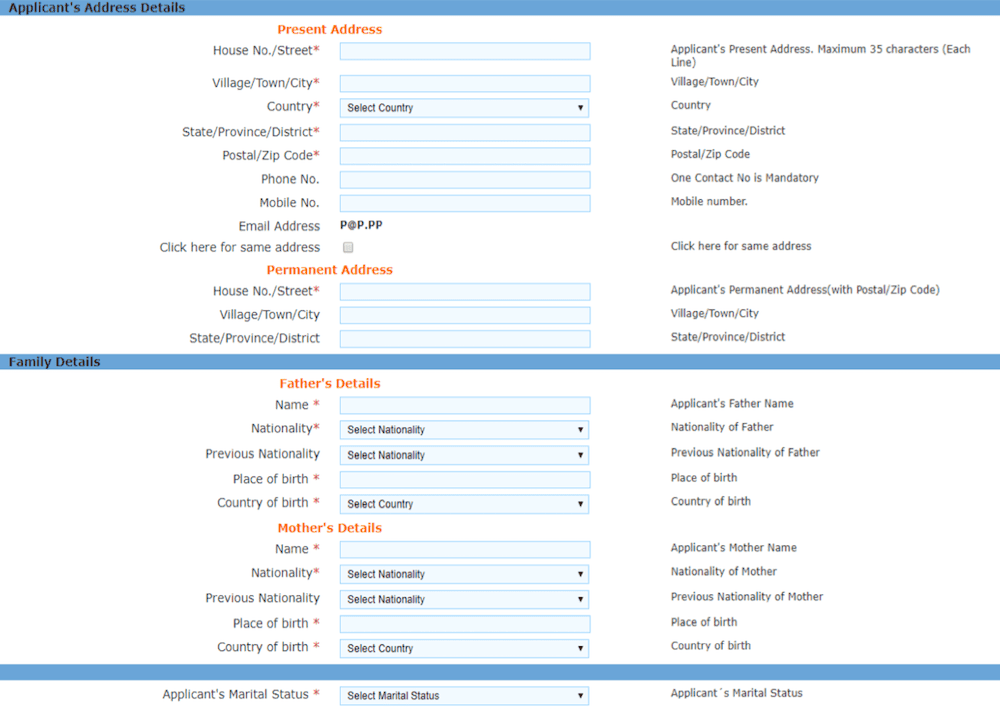 Indian E-Visa Process