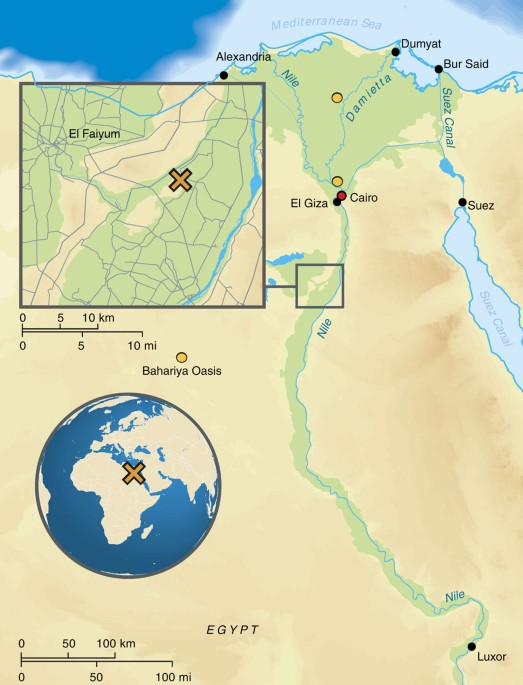 Egypt Neighbouring Countries and Regional Insights