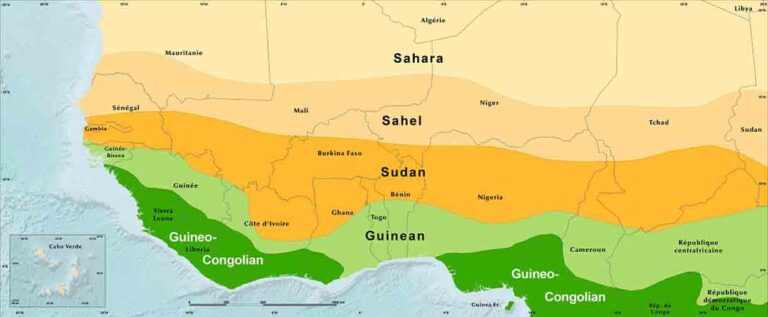 Gambia Neighbouring Countries and West African Map