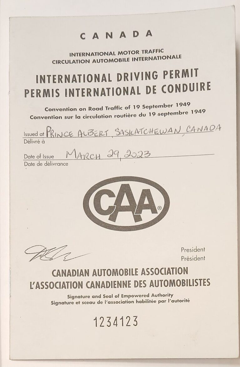 International Driving License in Qatar: Guide