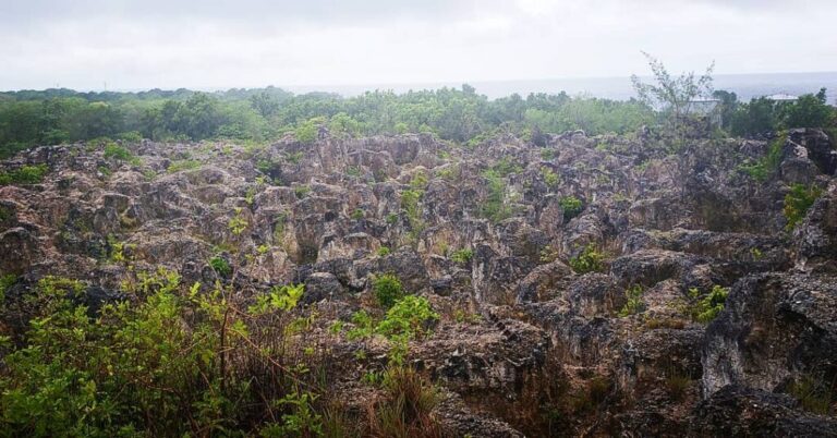 Nauru Neighbouring Countries and Pacific Islands