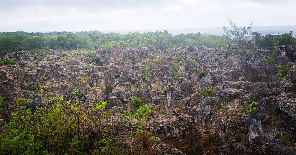 Nauru Neighbouring Countries and Pacific Islands