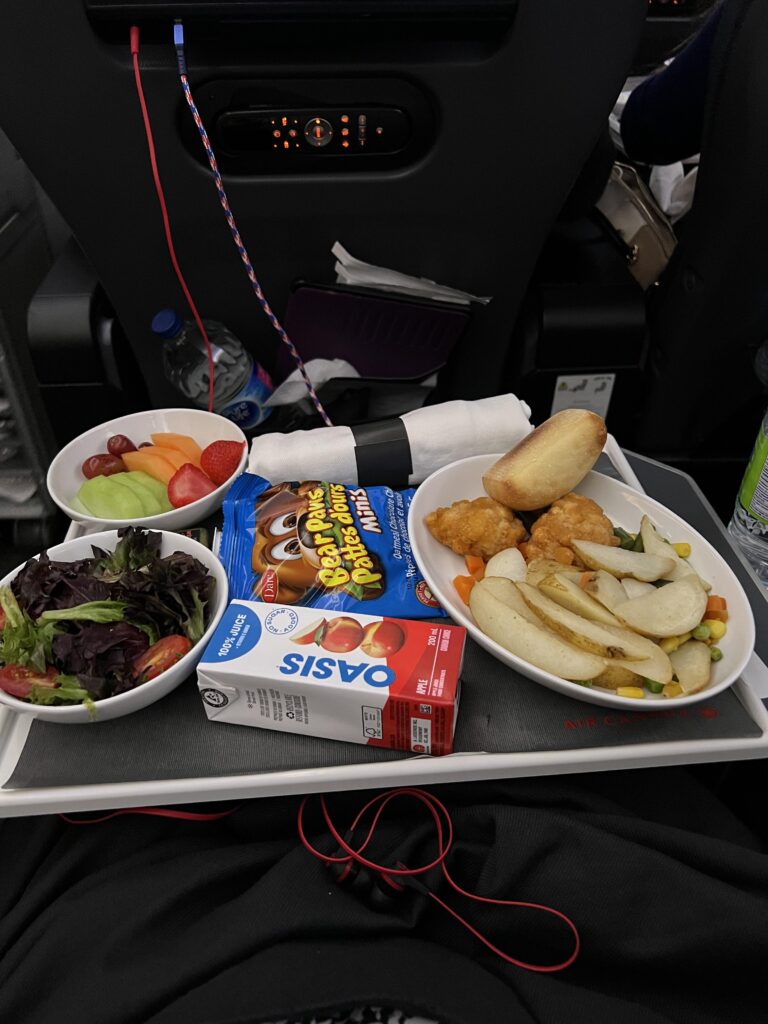 Air Canada Meal Options for Your Trip