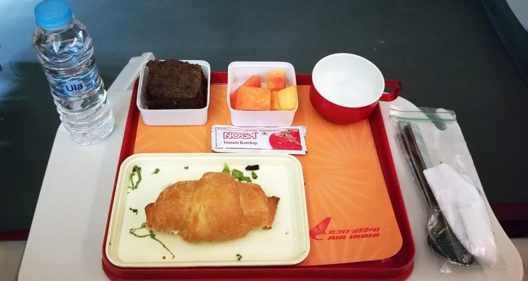 Air India Meal Options for Travelers