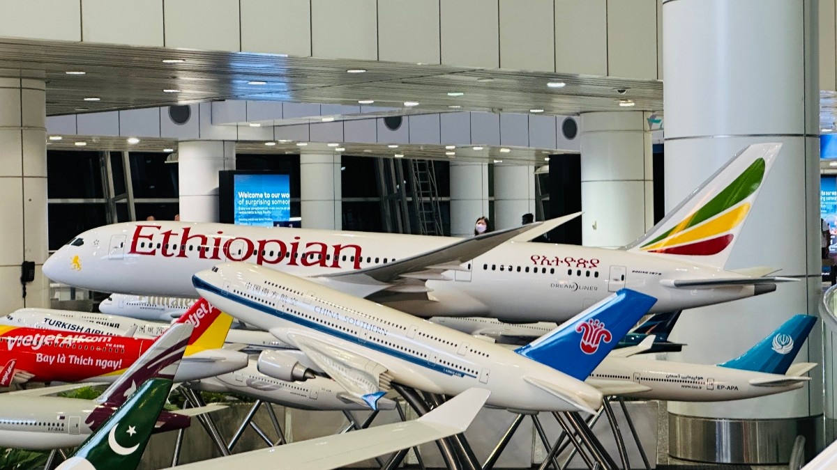 Ethiopian Airlines Delayed Baggage: Claim Guide