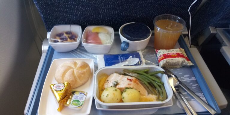 Middle East Airlines Meal Options for Flyers