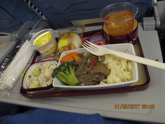 Philippine Airlines Meal Options for Every Journey