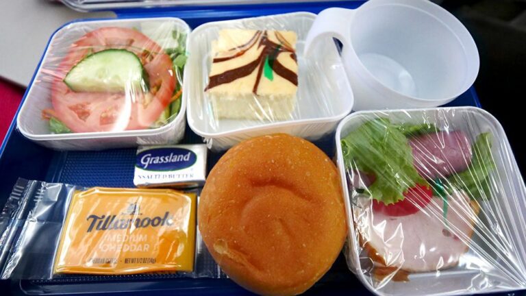 Uzbekistan Airways Meal Options for Flyers