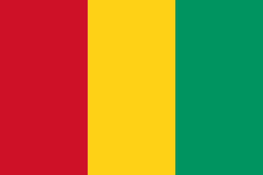 Visa Free Countries From Guinea