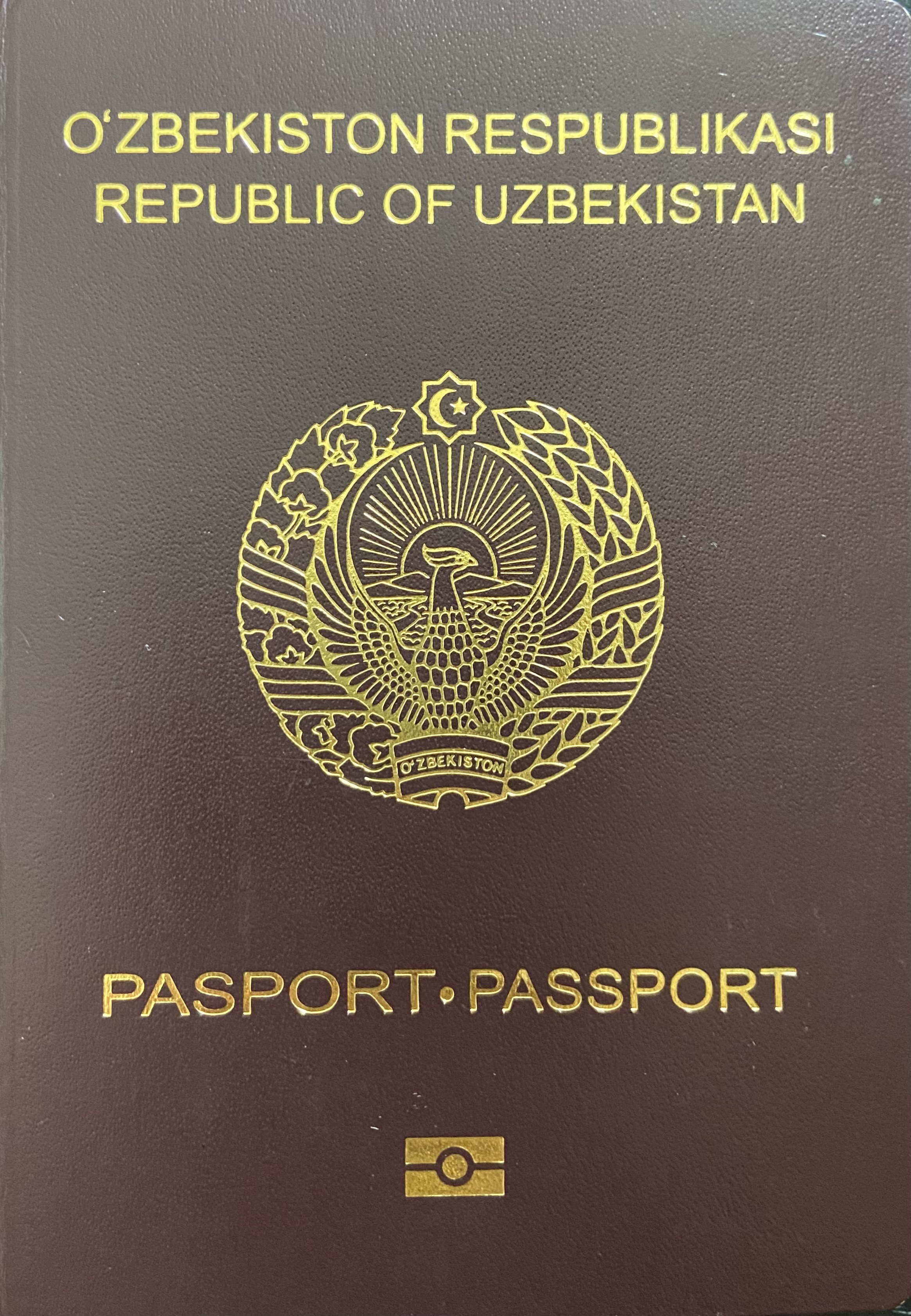 Visa Free Countries From Uzbekistan